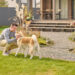 Best Wireless Invisible Dog Fences to Keep Your Dogs Safe and Your Yard Secure