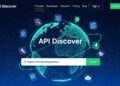 Best API Search Company's Homepage