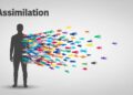 assimilasjon