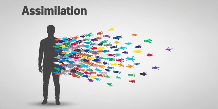assimilasjon