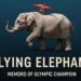 The Flying Elephant Memoirs of an Olympic Champion