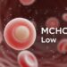 mchc blood test low