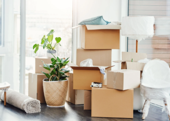 Packing decor for moving