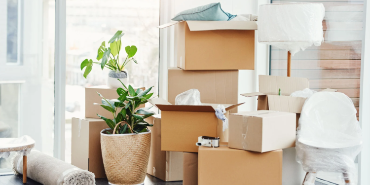Packing decor for moving